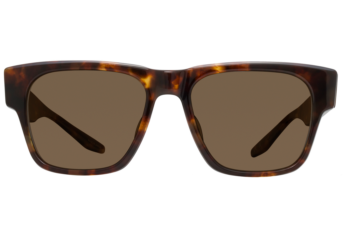 #color_Chestnut / Sequoia Polarized (AR)