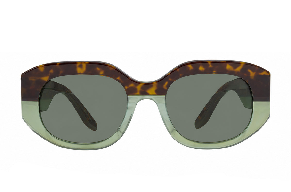 #color_Enchanted Forest / Safari Polarized (AR)