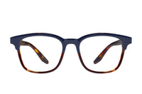 #color_Indigo Tortoise