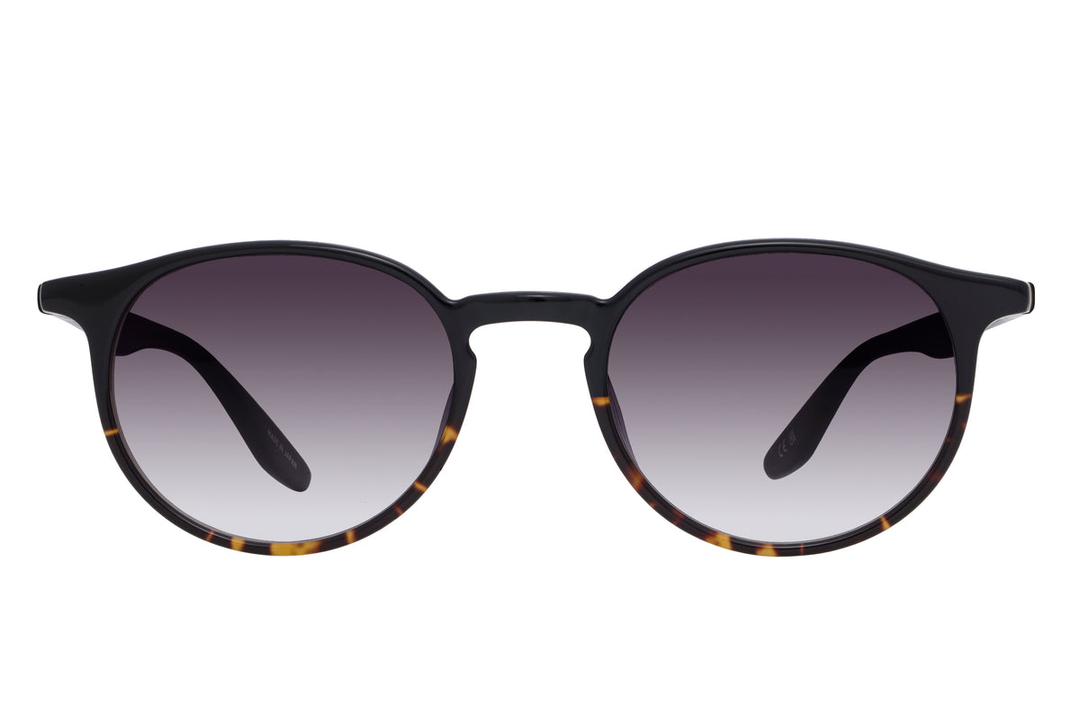 #color_Black Tortoise Gradient / Smolder (AR)