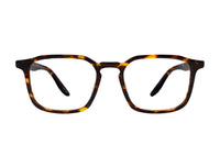 #color_Classic Tortoise
