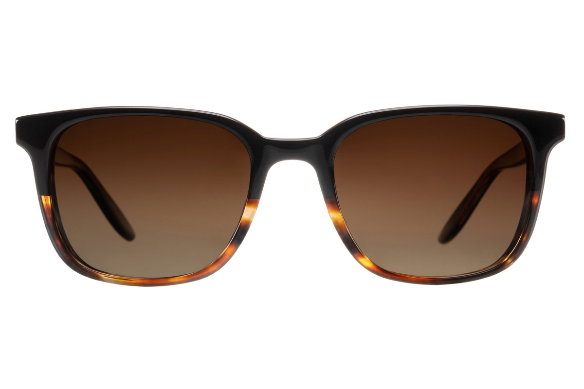 #color_El Nido / Old English Polarized (AR)