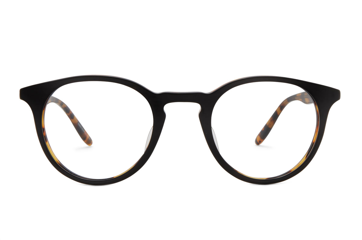 #color_Black Amber Tortoise