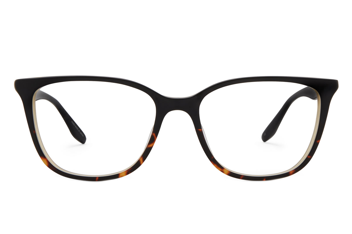 #color_Black Tortoise Gradient