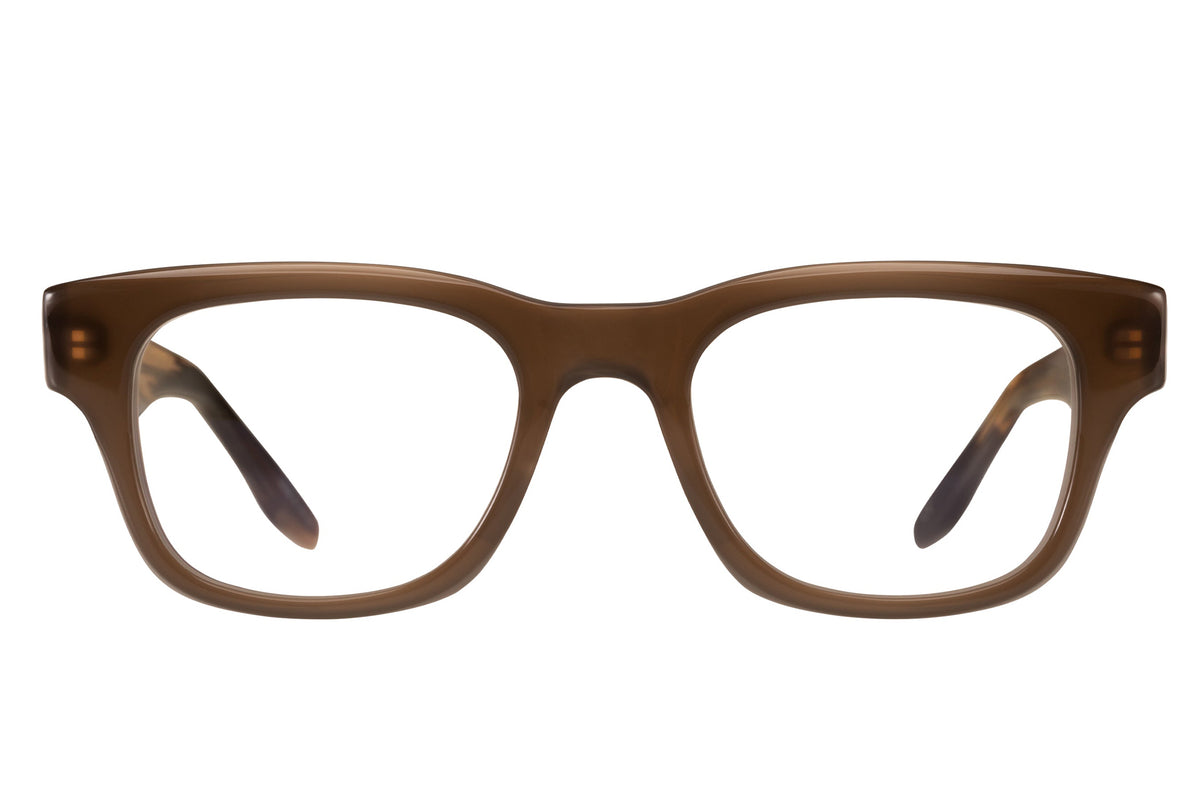 #color_Mocha / Brindle Tortoise